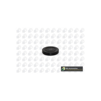 BGA Group PL4601 - Plug Housing Seal