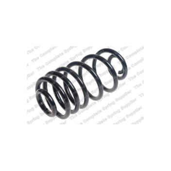 Neox SP6639 - Coil Spring (Rear)