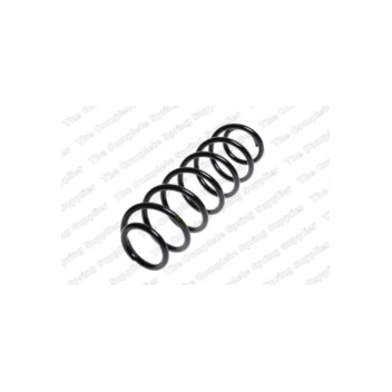 Neox SH6117 - Coil Spring (Rear)
