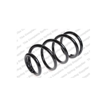 Neox SC6034 - Coil Spring (Front)