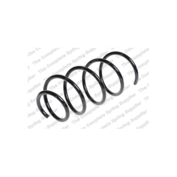 Neox SP6717 - Coil Spring (Front)