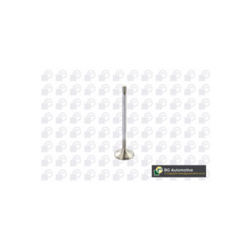 BGA Group V560011 - Inlet Valve