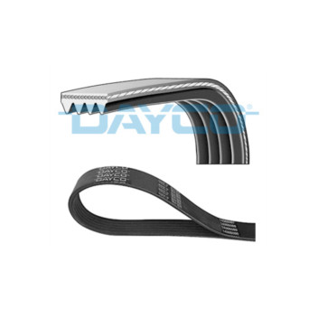  4PK875 - Drive Belt