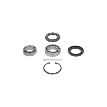 Moog VO-WB-11060 - Wheel Bearing Kit (Rear)