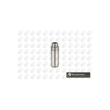 BGA Group VG11039 - Valve Guide