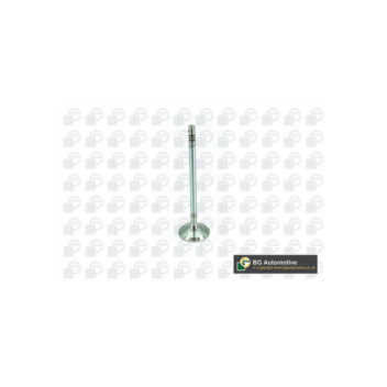 BGA Group V200074 - Inlet Valve