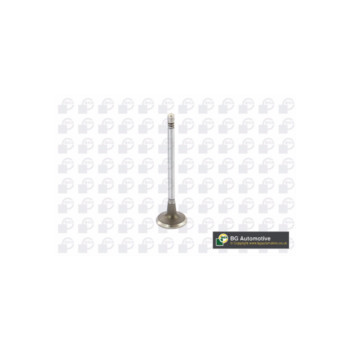 BGA Group V149481 - Inlet Valve
