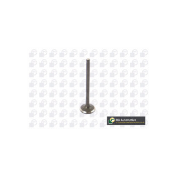 BGA Group V362215 - Exhaust Valve