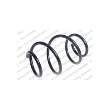 Neox SP9229 - Coil Spring (Front)