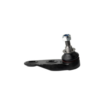Camber CBJ25581 - Ball Joint (Front Right Hand)