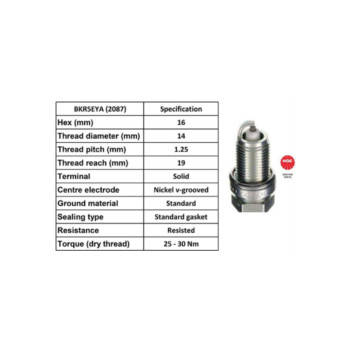 NGK 2087 - Spark Plug