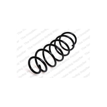Neox SH6102 - Coil Spring (Rear)