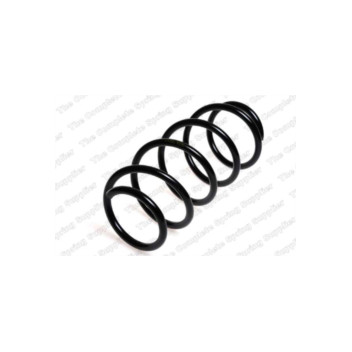 Neox SP6819 - Coil Spring (Front)