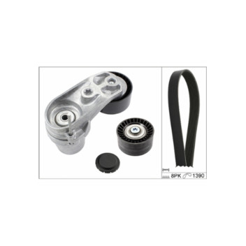 INA 529021010 - Drive Belt Kit