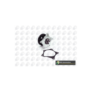 BGA Group CP6501 - Water Pump