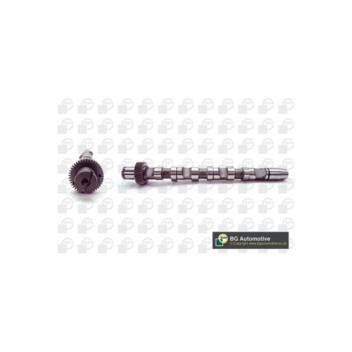 BGA Group CS1529 - Camshaft