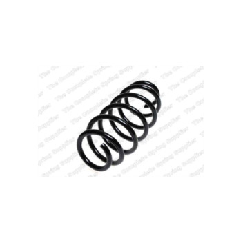Neox SP6617 - Coil Spring (Front)