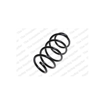 Neox SH6275 - Coil Spring (Front)