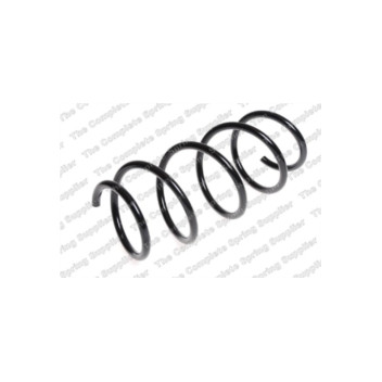 Neox SP6909 - Coil Spring (Front)