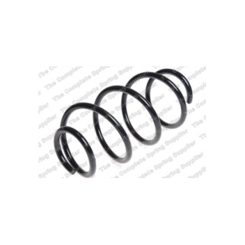 Neox SP6653 - Coil Spring (Front)