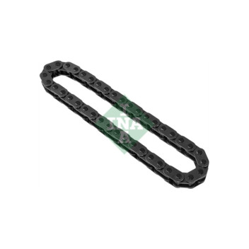 INA 553017910 - Timing Chain