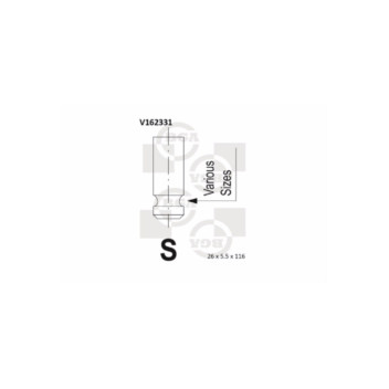 BGA Group V162331 - Exhaust Valve