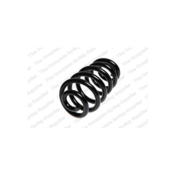 Neox SP7222 - Coil Spring (Rear)