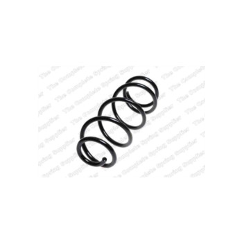 Neox ST1171 - Coil Spring (Rear)