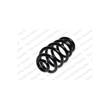 Neox SP8894 - Coil Spring (Rear)