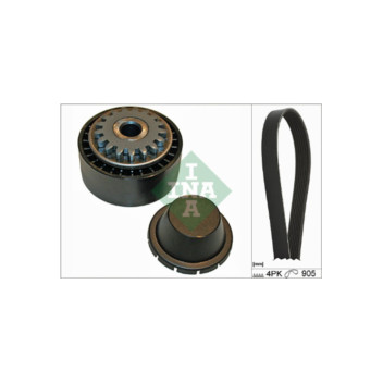 INA 529017410 - Drive Belt Kit