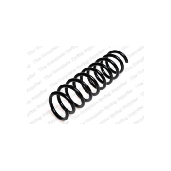 Neox SP8904 - Coil Spring (Rear)