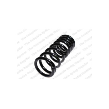 Neox SP8969 - Coil Spring (Rear)