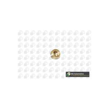 BGA Group PK2202 - Sump Plug