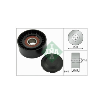 INA 532055710 - Guide Pulley