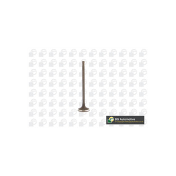 BGA Group V230711 - Exhaust Valve