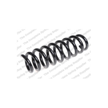 Neox SP7256 - Coil Spring (Rear)