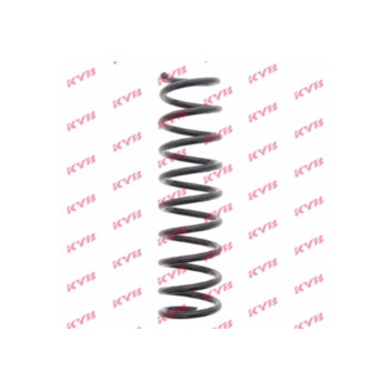 KYB RA5566 - Coil Spring (Rear)