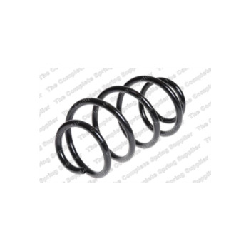Neox SP6634 - Coil Spring (Front)