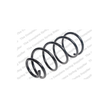 Neox SP9371 - Coil Spring (Front)
