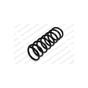 Neox SA6243 - Coil Spring (Rear)