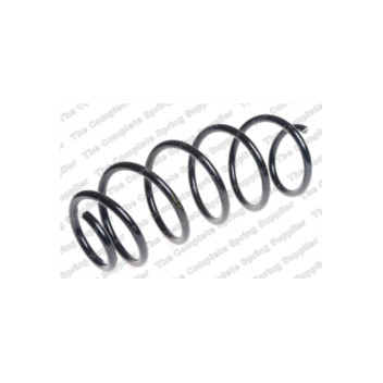 Neox SP6631 - Coil Spring (Front)