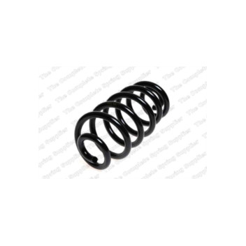Neox SH6329 - Coil Spring (Rear)