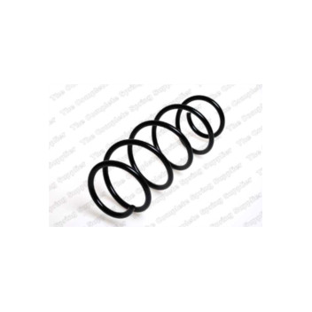 Neox SH6251 - Coil Spring (Front)
