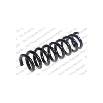 Neox SP8910 - Coil Spring (Rear)