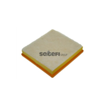 Purflux A1161 - Air Filter
