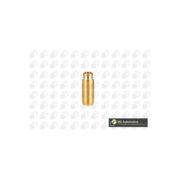 BGA Group VG11257 - Valve Guide