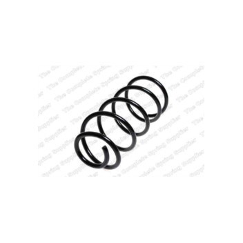 Neox SG6035 - Coil Spring (Front)