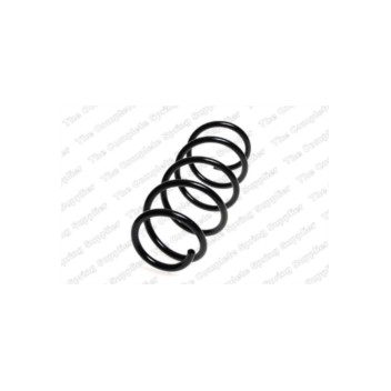 Neox SH6032 - Coil Spring (Front)