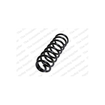 Neox SC6289 - Coil Spring (Rear)