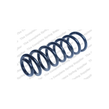Neox SP8491 - Coil Spring (Rear)